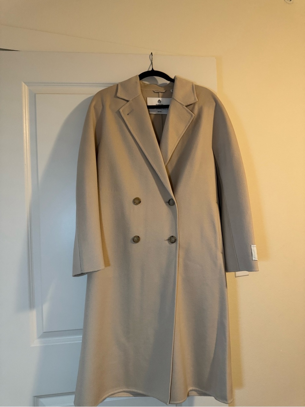 Aritzia The Slouch Coat